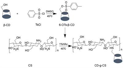 Frontiers | Chitosan Grafted With β-Cyclodextrin: Synthesis ...